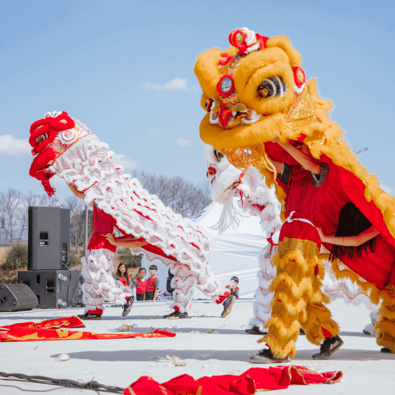 Performers in vibrant lion costumes dance under a clear blue sky during an outdoor festival.